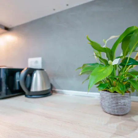 Levante Boho By Lesdomus * Bologna