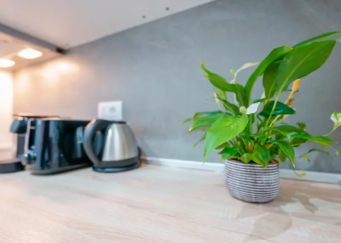 Levante Boho By Lesdomus * Bologna